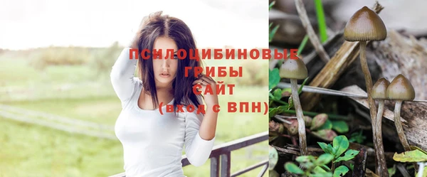 спайс Беломорск