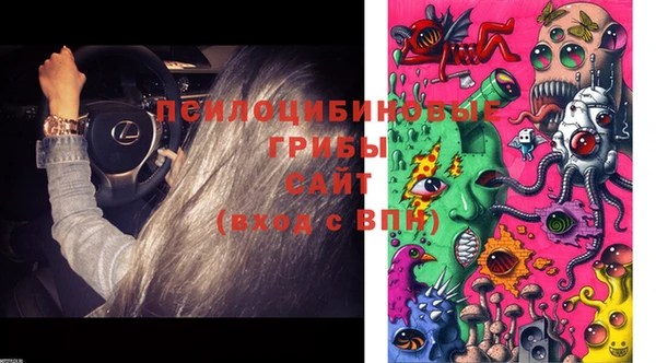 каннабис Белокуриха