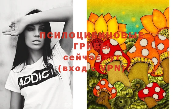 спайс Беломорск