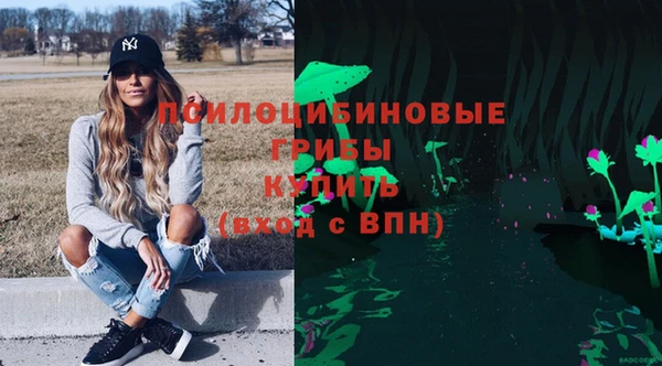 спайс Беломорск