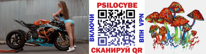 купить закладку  Корсаков  Галлюциногенные грибы Psilocybe 